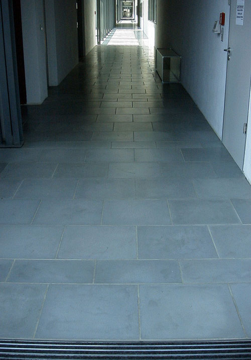 Frauenhofer Institute